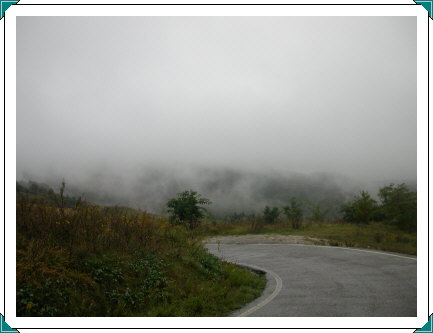 Road over 566 towards Casoni d Romagna