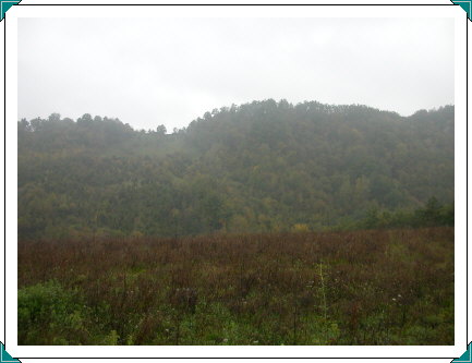 Hill 566 near Cassano Bisano