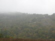 Hill 566 in Fog approaching Cassano
