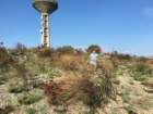 watertowerontopofhill66_small.jpg