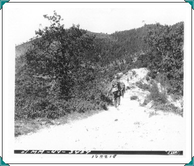 195218 Mt Verruca