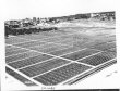 321026 Anzio Cemetery